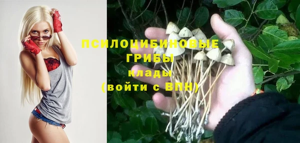 метамфетамин Алексеевка