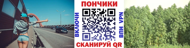 Каннабис AK-47  Купить  Судогда 